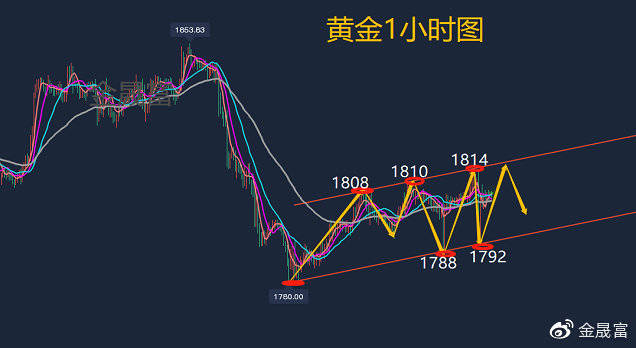 新闻 第80页